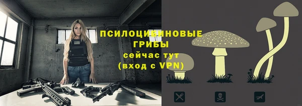spice Абинск