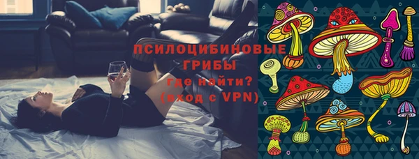 меф Пролетарск