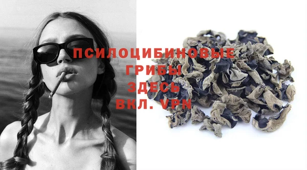 круглые Абаза