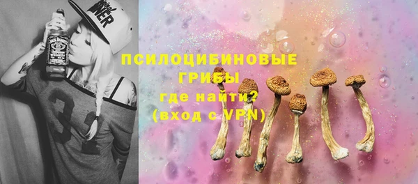круглые Абаза