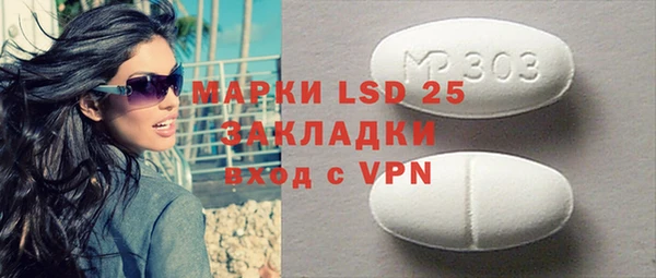 ПСИЛОЦИБИНОВЫЕ ГРИБЫ Горняк