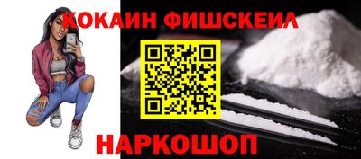 крисы Кузнецк