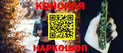 крисы Кузнецк