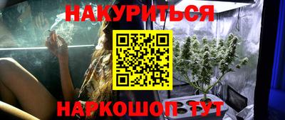 крисы Кузнецк