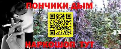 крисы Кузнецк