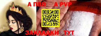 крисы Кузнецк