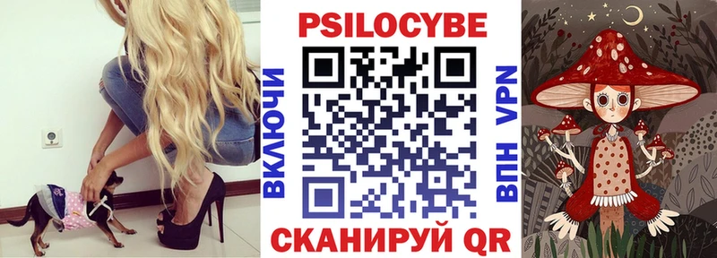 Псилоцибиновые грибы Magic Shrooms  Балахна 