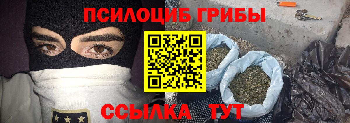 Галлюциногенные грибы мицелий Балахна