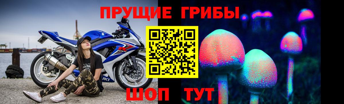 Балахна  Псилоцибиновые грибы MAGIC MUSHROOMS  Вход с VPN 